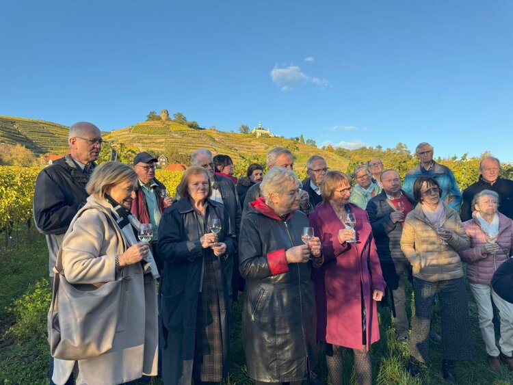 Ein Wiedersehen in Dresden – 9. ESO-Seniorentreffen mit Wein, Geschichte und guter Laune Gruppe von Menschen im Weinberg: Viele halten Weingläser, einige unterhalten sich. Im Hintergrund goldene Weinberghänge, ein Turm und ein kleines Gebäude. Sonniger Tag mit klarem Himmel.
