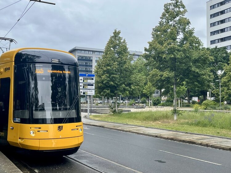 Eine gelbe Straßenbahn der Dresdner Verkehrsbetriebe mit der Zielanzeige „Speeddating Azubis“ steht an einer Haltestelle. Im Hintergrund sind moderne Bürogebäude und grüne Bäume zu sehen.