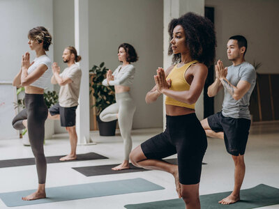 Fünf Personen üben in einem hellen, modernen Yoga-Studio die Yoga-Position "Baum" (Vrksasana). Sie stehen jeweils auf einer Yogamatte, das rechte Bein angewinkelt und die Fußsohle an die Innenseite des linken Oberschenkels gepresst. Ihre Hände sind vor der Brust im Gebetshand-Geste (Anjali Mudra) gefaltet. Die Personen tragen bequeme Sportkleidung in verschiedenen Farben: Eine Frau im Vordergrund trägt ein gelbes Top und schwarze Shorts, daneben ein Mann in grauer Kleidung. Im Hintergrund sind drei weitere Personen in ähnlichen Posen zu sehen, zwei Frauen und ein Mann, alle konzentriert und entspannt. Der Raum ist mit großen Fenstern und grünen Pflanzen ausgestattet, was eine ruhige und harmonische Atmosphäre schafft.