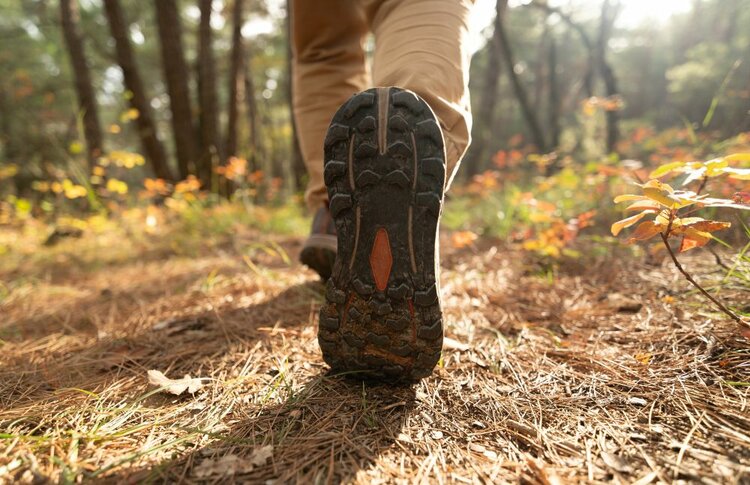 Nahaufnahme von der Sohle von Wanderschuhen einer Person, die über einen mit Laub und Kiefernadeln bedeckten Waldweg läuft; im Hintergrund herbstliche Bäume im warmen Sonnenlicht.