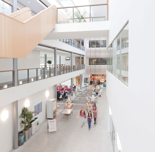 Im Ausland studieren: Bachelor als Top-up in Cardiff -4